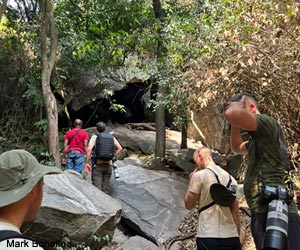 Les participants au séjour s'approchant d'une zone rocheuse pour observer le Cossyphe à calotte blanche (Cossypha albicapillus)