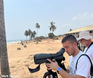Observation des oiseaux marins depuis la plage de Brenu (Ghana)