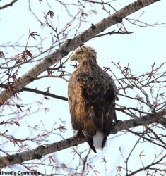 Journée Mondiale des Zones Humides 2026