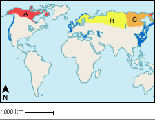 Aires de répartition des Plongeons du Pacifique (Gavia pacifica), arctique (G. a. arctica) et à gorge verte (G. a. viridigularis)