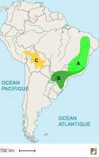 Aires de répartition des Viréons aux yeux gris (Hylophilus amaurocephalus), oreillard (H. poicilotis) et du Béni (H. moxensis)