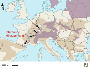 Aire de répartition européenne de la Chevêchette d'Europe (Glaucidium passerinum)