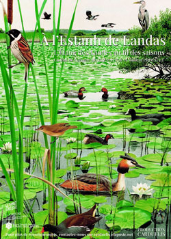 Couverture du DVD A l'Estanh de Landas