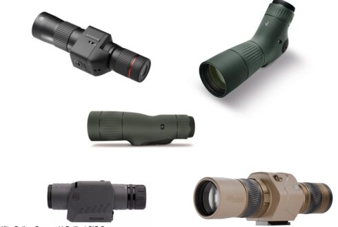 Choisir une longue-vue stabilisée pour observer les oiseaux : modèles disponibles, avantages et limites