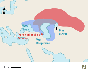 Aire de répartition de l'Alouette leucoptère (Alauda leucoptera)
