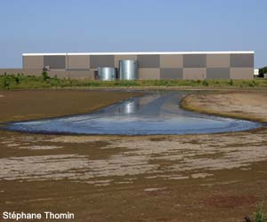 Vue du bassin de récupération des eaux pluviales de la Zone d’Aménagement Concertée (ZAC) du Noyer aux Perdrix à Servon (Seine-et-Marne)