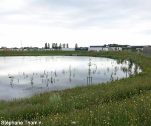 Vue du bassin de récupération des eaux pluviales de la Zone d’Aménagement Concertée (ZAC) du Noyer aux Perdrix à Servon (Seine-et-Marne)
