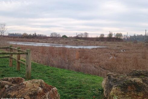 Le bassin de récupération des eaux pluviales de Servon (Seine-et-Marne), une réalisation attractive pour les oiseaux