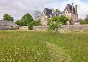 Fauchage raisonné à Saint-Savinien (Charente-Maritime)