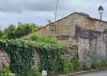 Nichoir posé et fleurs semées dans une ruelle de Saint-Savinien (Charente-Maritime)