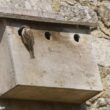 Gianni Enselme nous explique comment le village de Saint-Savinien (Charente-Maritime) a réussi à inverser le déclin du Moineau friquet