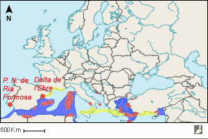 Aire de répartition du Goéland d'Audouin (Ichthyaetus audouinii)