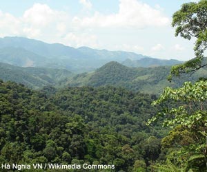 Vue de la réserve naturelle de Khe Nuoc Trong (Vietnam)