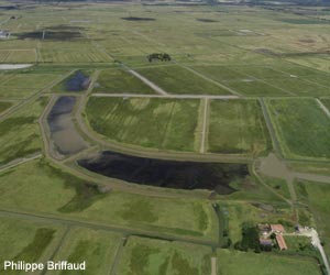 Vue aérienne de la réserve naturelle régionale du marais de la Vacherie (Vendée)
