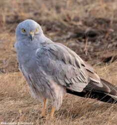 Deuxième édition des Rencontres Naturalistes du Cher