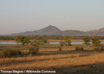  Vue du lac Kazuni, dans la Vwaza Marsh Wildlife Reserve (Malawi)