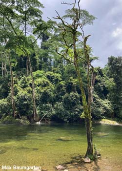  width=