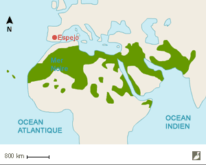 Aire de répartition du Sirli du désert (Alaemon alaudipes)