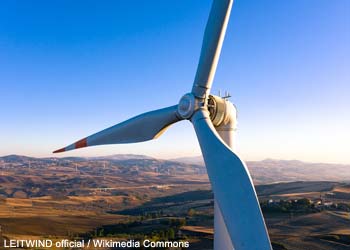 Les effets des éoliennes sur les oiseaux et les chiroptères sont multiples