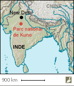 Situation du parc national de Kuno, dans l’État du Madhya Pradesh (Inde)