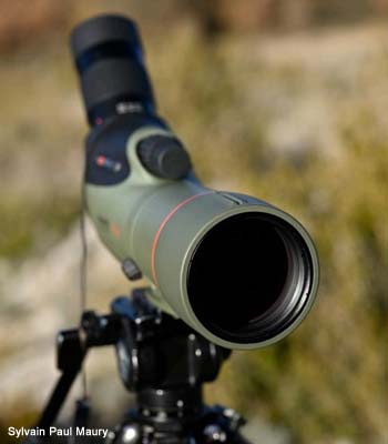 La longue-vue Kowa TSN-66A + 25-60x