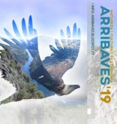 Sixième festival ArribAves