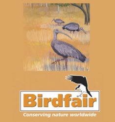 British Birdwatching Birdfair 2019