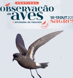 10e Festival de Observação de Aves de Sagres