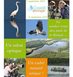 11e Festival de l’Oiseau de Virelles