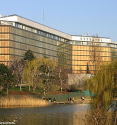 Sortie guidée de découverte des oiseaux du lac de Créteil