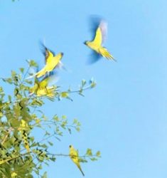 Le 16e festival Les Photaumnales