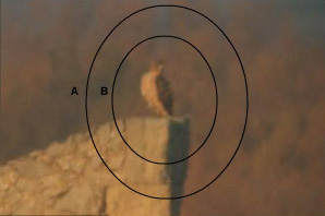 Différents champs de vision