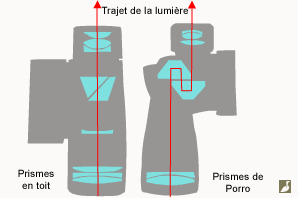 Conception optique (disposition et forme des prismes et des lentilles) et trajet de la lumière (en rouge) pour les jumelles à prismes en toit et de Porro.