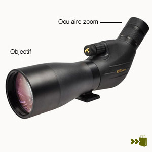 Longue-vue SP ED 82 + zoom 25x-50x