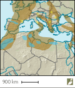 Couloirs de migration (marron) et zones d'hivernage (bleu) du Pluvier guignard 