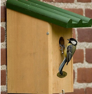 Nid disponible dans le commerce