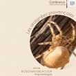 Conférence « Les Araignées Provençales »