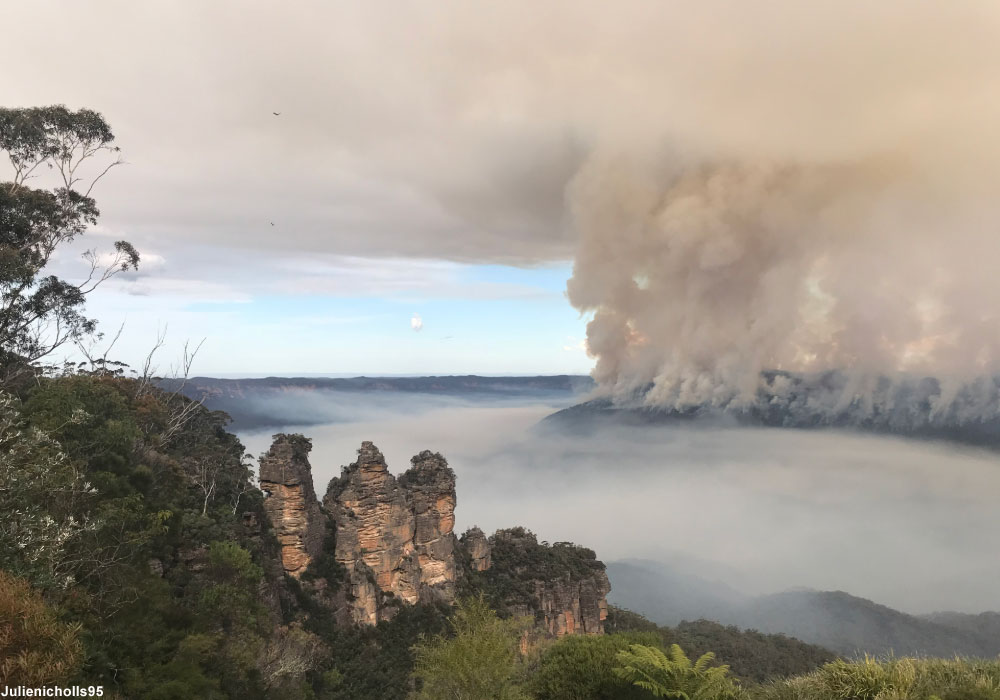 Feu de forêt dans les Blue Mountains (Australie)