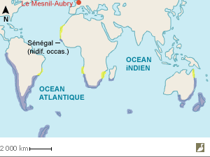 Carte de répartition du Goéland dominicain (Larus dominicanus)