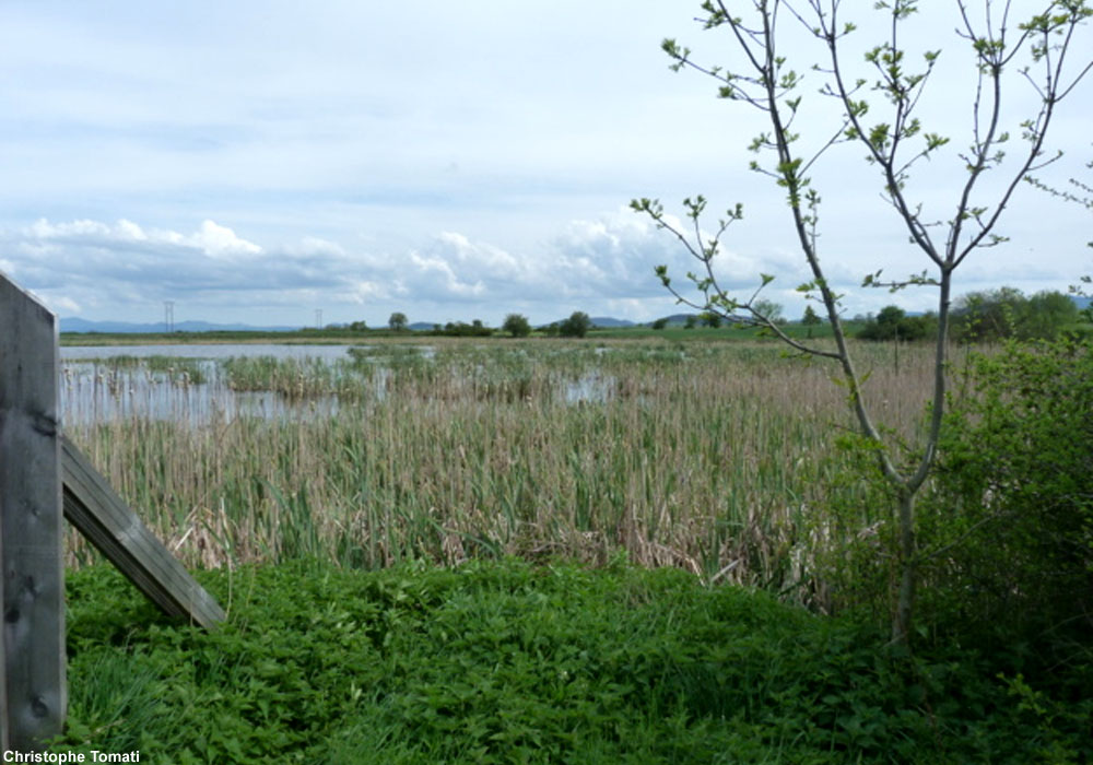 Vue du lac de Freycenet ou de Borne (Haute-Loire)