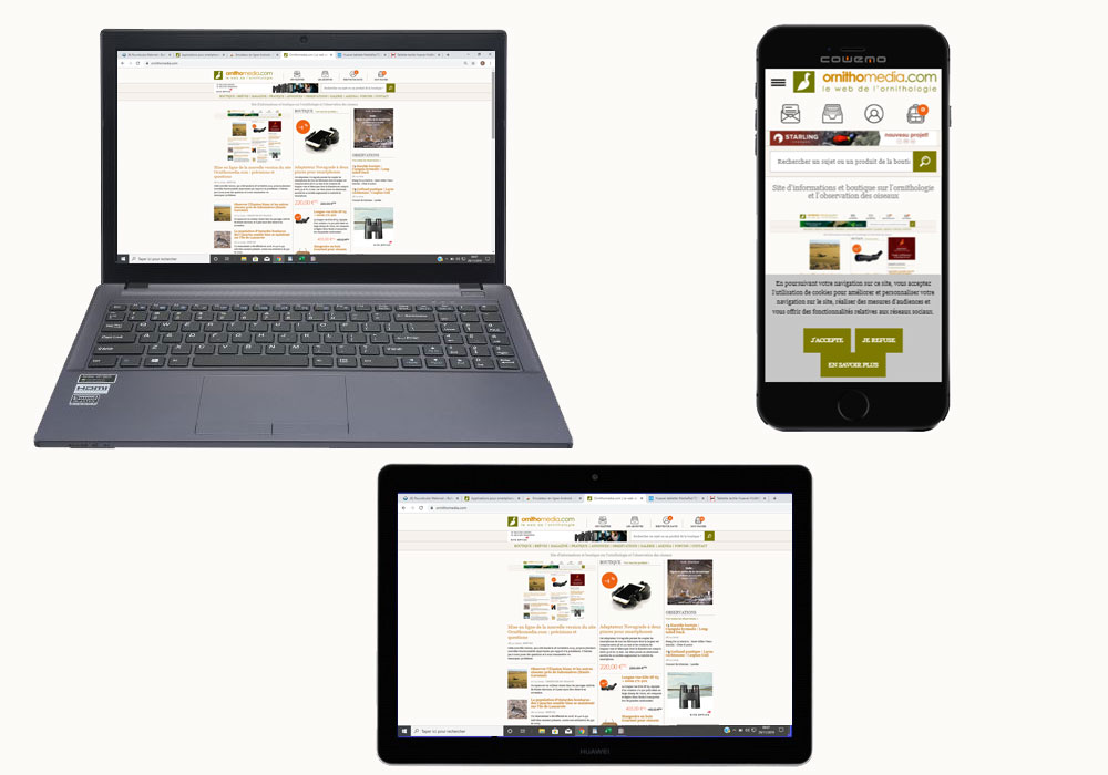 Mise en ligne de la nouvelle version du site Ornithomedia.com : précisions et questions