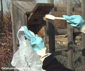 Utilisez une brosse pour bien frotter l'intérieur du nichoir