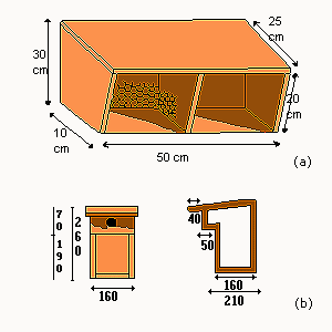 Dimensions d'un nichoir à hirondelle et à balcon