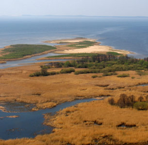 Le delta du fleuve Niémen (Lituanie) : la « Camargue balte »