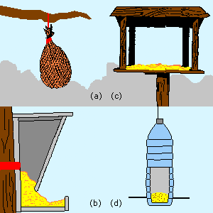 Les différents types de mangeoires