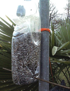 Un exemple de mangeoire "maison"