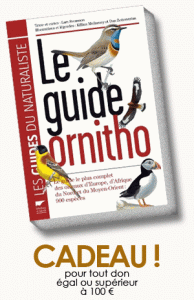 le Guide Ornitho offert