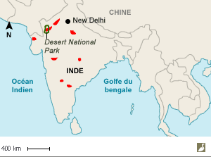 Aire de répartition actuelle de l'Outarde à tête noire