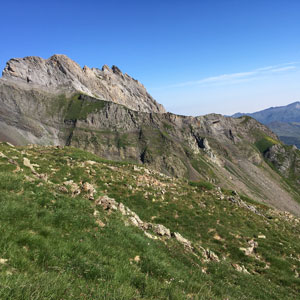 Observer les oiseaux sur le pic de Ger (Pyrénées-Atlantiques)