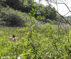 Vue de la réserve naturelle nationale de Chalmessin (Haute-Marne)